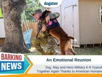 An Emotional Reunion of Ssg. May and Hero Military K-9 Yyacob Thanks to American Humane
