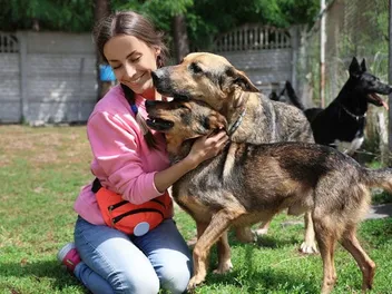How Much Does It Cost to Adopt a Dog? 2026 Update