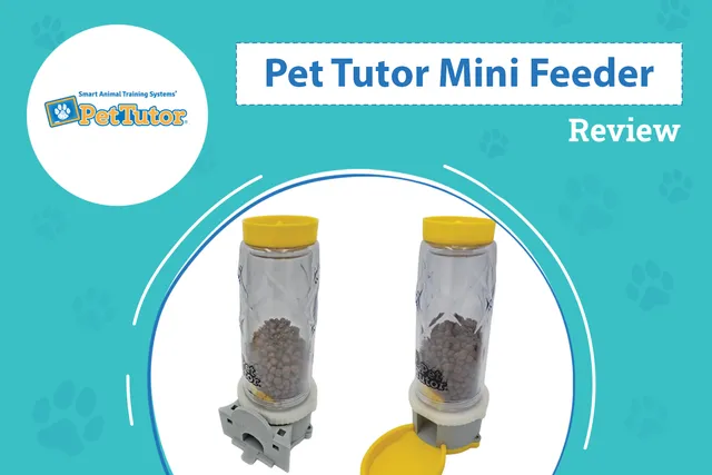 Pet Tutor Mini Feeder Review 2026: Pros, Cons & Verdict