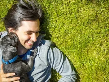 10 Dogs Bred for Companionship: With Pictures & Facts