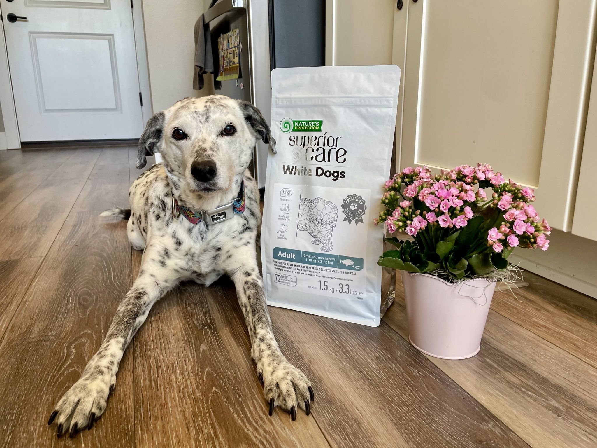 Superior Care White Dogs Grain-Free Small Breed Dog Food Review 2026_ Our Expert’s Opinion 1