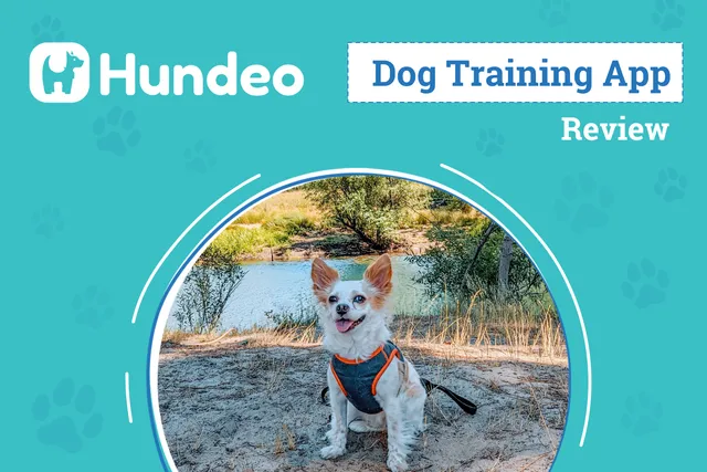 Hundeo Dog Training App Review 2026: An Expert’s Breakdown