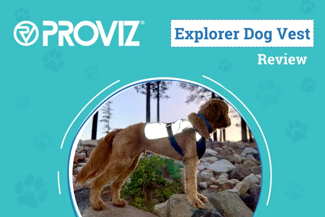 Proviz Explorer Dog Vest Review 2026: Can Everybody See Micah at Night?