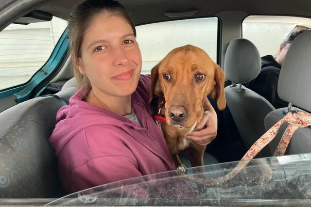 How I Rescued A Greek Stray Dog: Hela's Story
