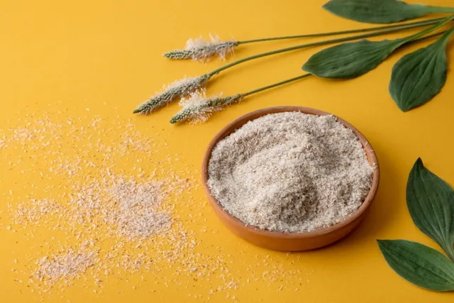 What Is Powdered Cellulose in Dog Food? Vet-Approved Safety Facts & FAQ