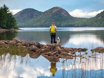 How Can I Talk With a Vet if I Am in the Middle of Nowhere? 5 Ideas to Help (Vet Reviewed)