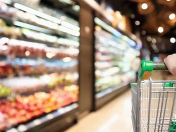 Are Dogs Allowed in Whole Foods? 2026 Pet Policy & FAQ