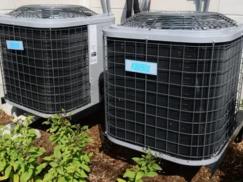 My Dog Peed on My AC Unit — What Should I Do?