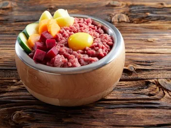 10 Best Raw Dog Food Delivery Services in 2026 - Reviews & Top Picks