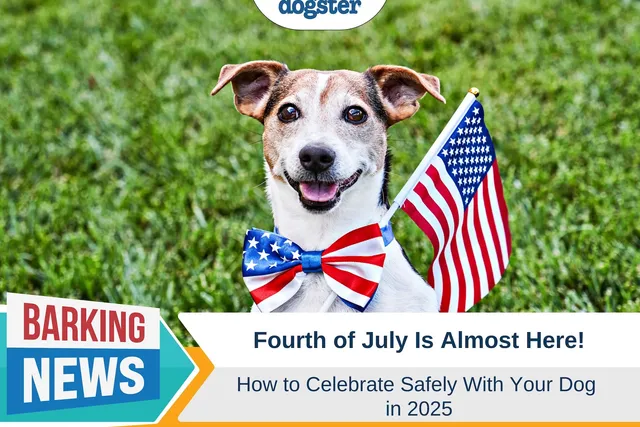 Fourth of July Is Almost Here: How to Celebrate Safely With Your Dog
