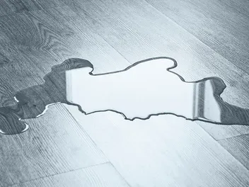 8 Best Cleaners for Dog Urine on Laminate Floors in 2026 - Reviews & Top Picks