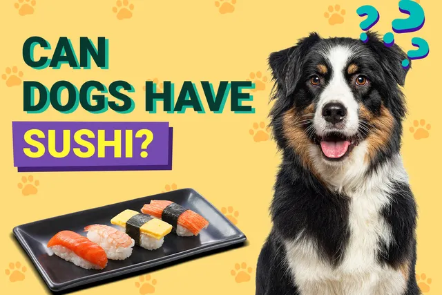 Can Dogs Have Sushi? Vet-Verified Facts & FAQ