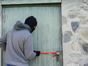 Do Dogs Prevent Break-Ins? Facts & FAQ