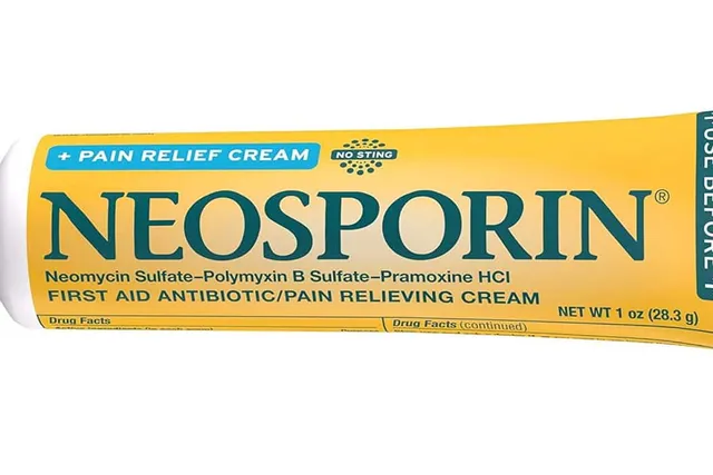 Can You Put Neosporin on a Dog? Vet-Reviewed Safety Facts