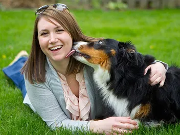 Why Does Your Australian Shepherd Lick You So Much? 7 Likely Reasons