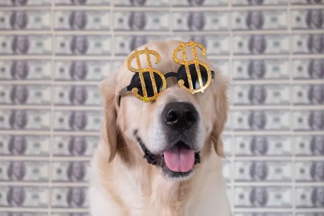 10 Richest Dogs on Earth (With Pictures)