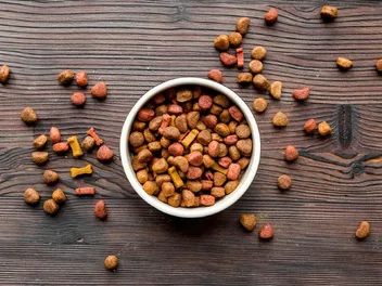 Is Glycerin in Dog Food & Treats Bad for Dogs? Vet-Reviewed Safety Guide