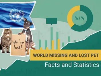 15 Missing Pet Statistics: How Many Pets Are Lost? 2026 Update