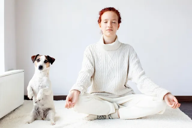 Do Dogs Have Chakras? Interesting Facts & FAQ