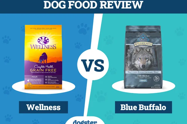 Wellness Dog Food vs Blue Buffalo: Pros, Cons & What to Choose