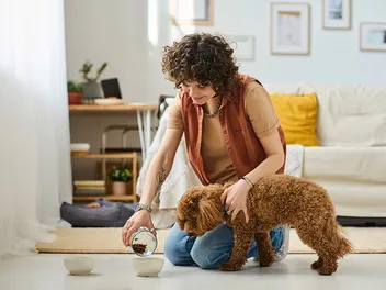 Complete Dog Sitting Checklist: 21 Items & Instructions (Vet Approved)