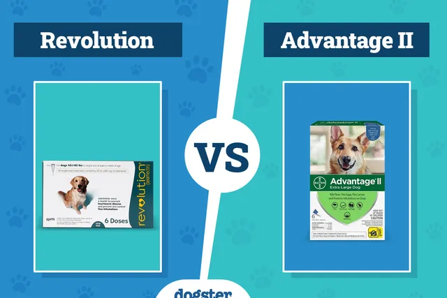 Revolution vs Advantage II Flea Treatment 2026 Comparison (Vet Answer)