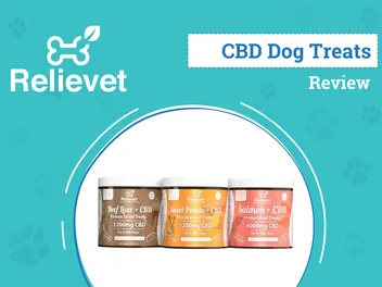 Relievet CBD Dog Treats Review 2026: Our Expert’s Opinion