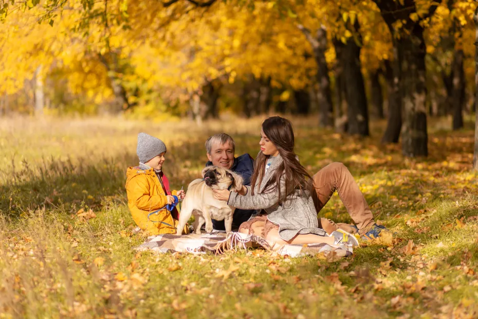 family with a small child and a pug dog spend time together in the park