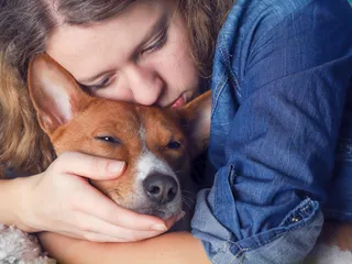 What To Do When Your Dog Has Cancer: Our Vet Discusses 6 Important Steps