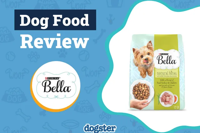 Purina Bella Dog Food Review 2026: Recalls, Pros & Cons