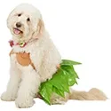Rubie's Hula Girl Costume
