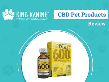 King Kanine CBD Product Review 2026: An Expert's Breakdown