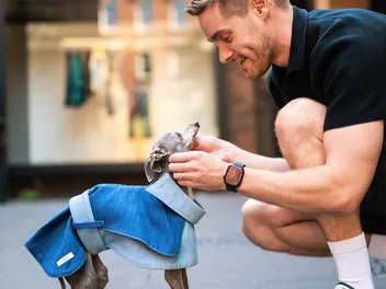 Remembering Tika the Iggy: Tiny, Mighty, Wise