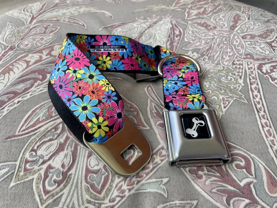 Buckle-Down Seatbelt Collar Product image