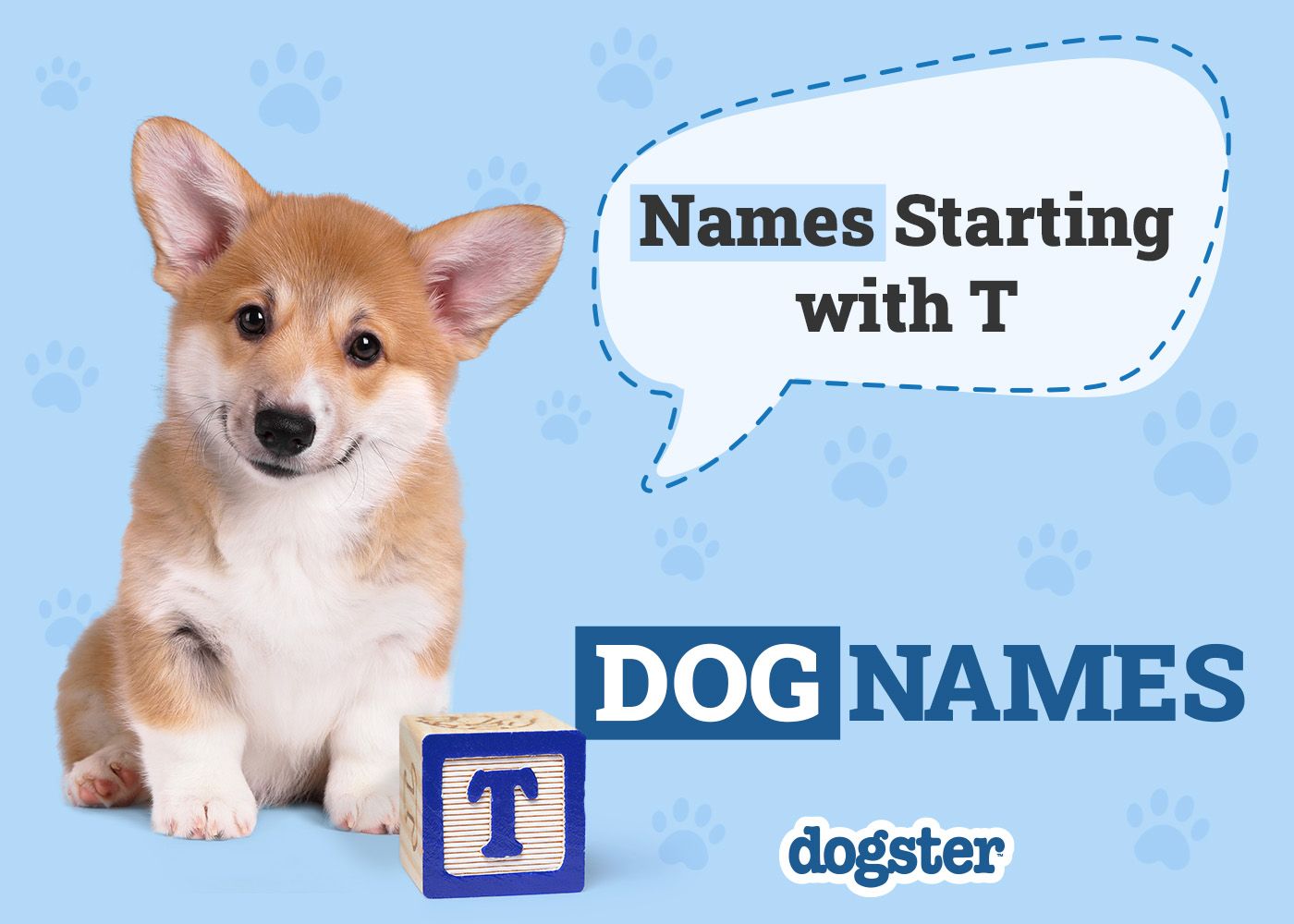 Dogster_Names Starting with T