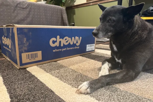 Lorraina and the Chewy Box: An Unhealthy Relationship
