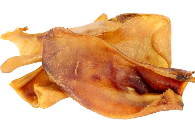 Are Pig Ears Good for Dogs? Vet-Verified Facts & Guide