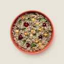 Ollie Fresh Lamb Dog Food Subscription