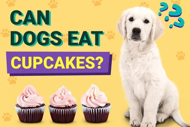 Can Dogs Eat Cupcakes? Vet-Approved Facts & FAQ