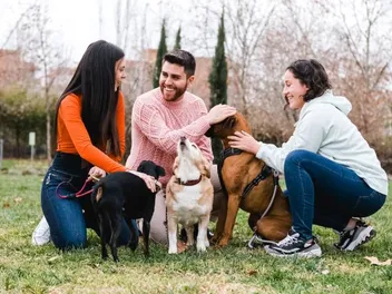 8 Great Off-Leash Dog Parks in Charleston, SC, You Can Visit Today