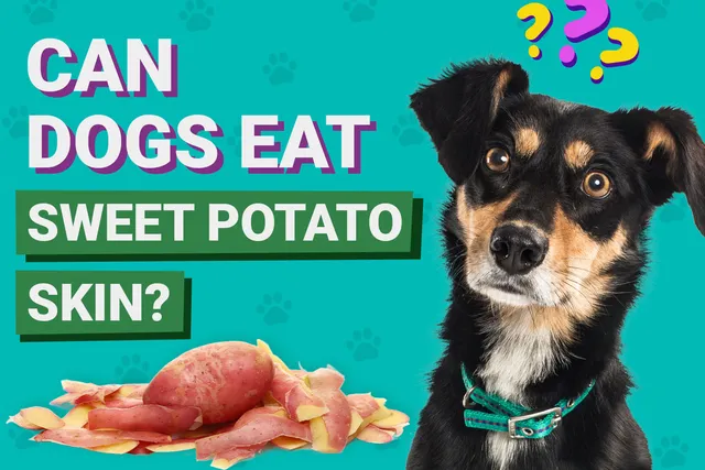Can Dogs Eat Sweet Potato Skins? Vet-Verified Nutrition Facts
