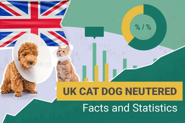 How Many Dogs and Cats Are Neutered in the UK? 2026 Statistics
