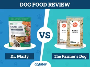 Dr. Marty Dog Food vs The Farmer’s Dog (2026 Comparison): Pros, Cons & What to Choose