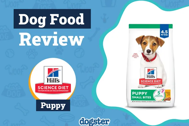 Hill’s Science Diet Puppy Food Review 2026: Recalls, Pros & Cons