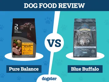 Pure Balance vs Blue Buffalo Dog Food: Our 2026 Comparison