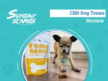 Sunday Scaries FOMO Bones Review 2026: An Expert's Breakdown