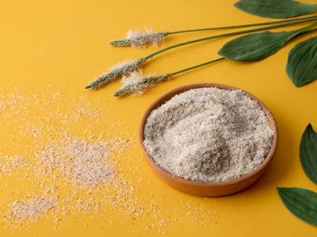 What Is Powdered Cellulose in Dog Food? Vet-Approved Safety Facts & FAQ