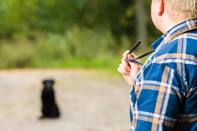 How to Select the Right Dog Whistle for Training: Expert Advice