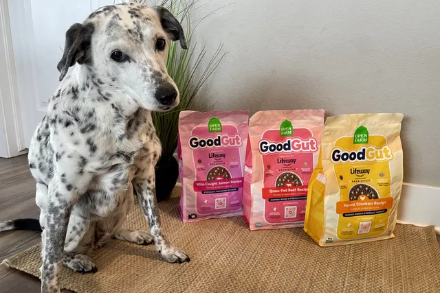 Open Farm GoodGut Dog Food Review 2026: Pros, Cons & Final Verdict