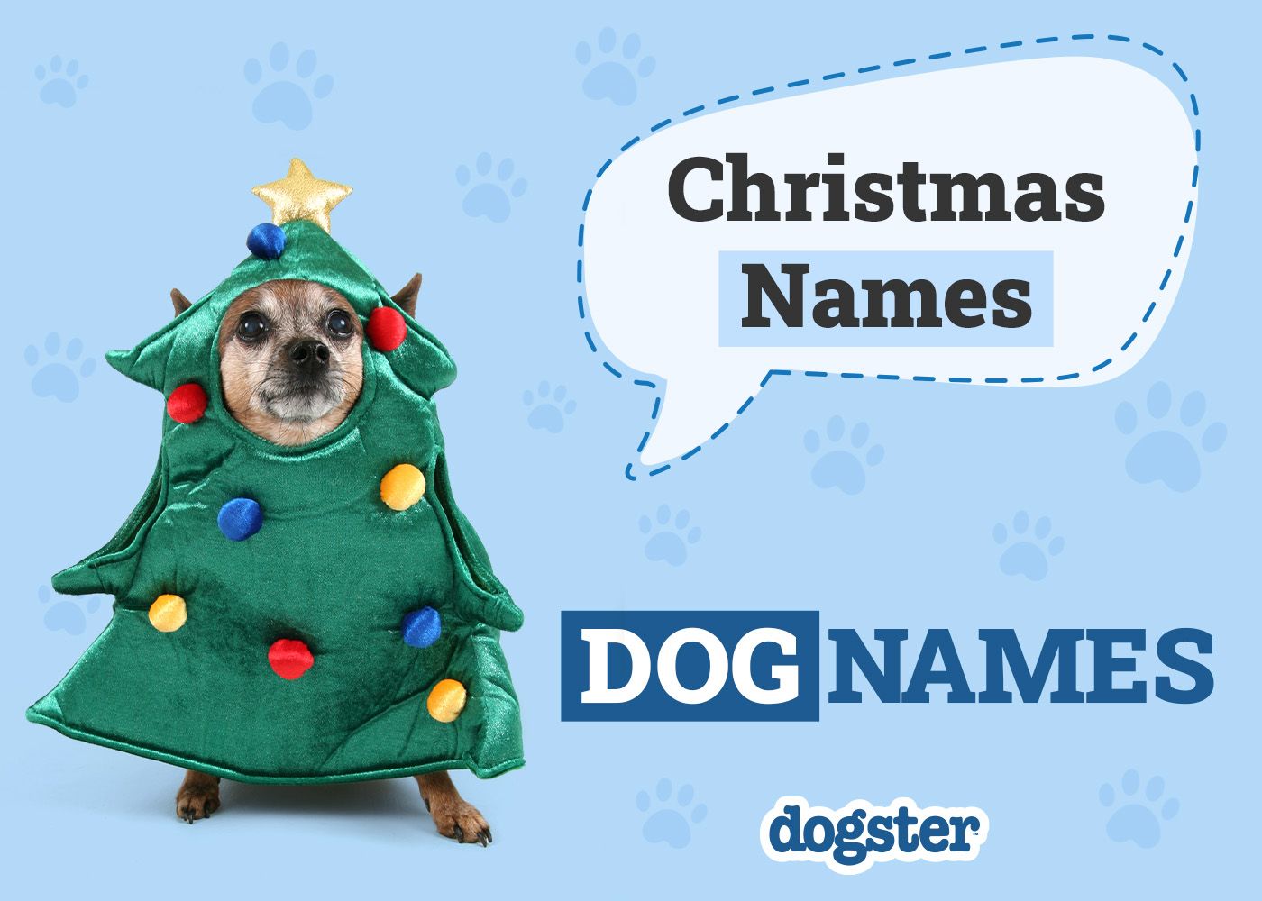 Dogster_Christmas Names